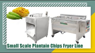 Small Scale Banana Chips Making Machine  Banana Chips Plant Cost [upl. by Elleimac443]