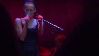 Fiona Apple  Dull Tool live  Liberty Hall  October 12 2013 [upl. by Nakashima]