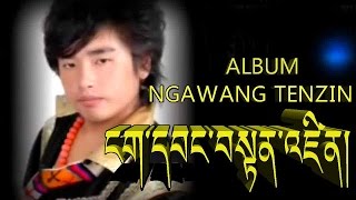 ༡༢ གཞས། ངག་དབང་བསྟན་འཛིན། NGAWANG TENZIN [upl. by Ahcorb629]