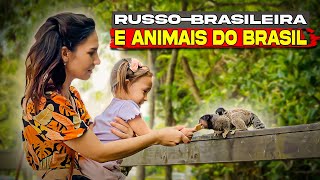 Divertido e assustador A pequena russobrasileira está conhecendo os animais selvagens do Brasil [upl. by Verina]