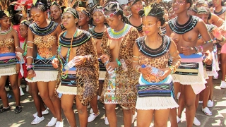 The beautiful tribal women of South Africa Ndebele Xhosa Zulu Basotho Venda Tsonga Tswana [upl. by Hirz59]