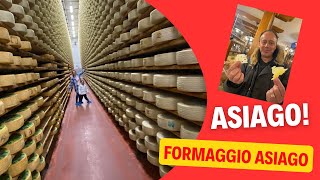 How to make ASIAGO Chesse Caseificio Pennar Asiago  ASIAGO Part 3 [upl. by Reviere]