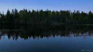 2 minutes of tranquility  Spring Lake in Summer near Peachland BC Canada [upl. by Siramad]