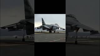 McDonnell Douglas AV8B Harrier II Vertical TakeOff [upl. by Anilok160]