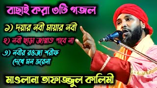 tafajul kalimi gojol  দয়ার নবী মায়ার নবী  মন ভরানো গজল  বাছাই করা তিনটি গজল [upl. by Salkin734]