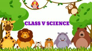 Oviparous animals and Viviparous animals Class 5 Science [upl. by Richter]