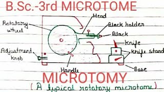 Microtome  Microtomy  Part1st  BSc 3rd  Intro Define  History  Types  Image  Best notes [upl. by Sahc]