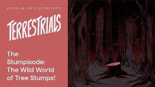 The Stumpisode The Wild World of Tree Stumps  Terrestrials  Radiolab for Kids Podcast [upl. by Auqenet904]