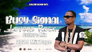 Busy Signal Mixtape Best Of Reggae Lovers rock And Culture Mix  Calum beam intl [upl. by Braun]