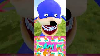 MIKU TETO KAFU AYE AYE SIR SONIC TAPES vs POU BOUS REVENGE POPPY PLAYTIME ZOONOMALY Garrys MOD [upl. by Jarid]