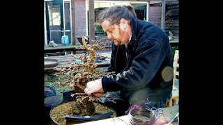 The story of quotXLquot my Yamadori Larch Bonsai Part II improved version [upl. by Majka]