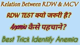 Relation between RDW and MCV  RDW blood test MCV blood test [upl. by Demahom]