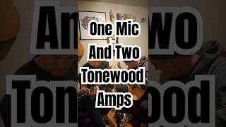 Not a paid ad or anything We just love these things ❤️ ToneWoodAmpMagic tonewoodamp guitar [upl. by Enneicul]