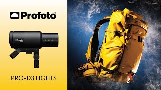 HandsOn Review Profoto Pro D3 Lighting Kit Unveiled [upl. by Akemat]