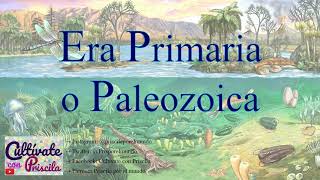 Era Primaria o Era Paleozoica  Geología [upl. by Klusek]