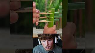 DIY Bamboo Bow and Arrow bamboo slingshots diy [upl. by Zavras]