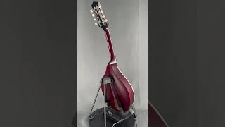 Collings MT Mandolin  Merlot finish mandolins [upl. by Eglanteen]