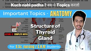 Anatomy of Thyroid Gland  Important topics of Anatomy and Physiology  BSc Nursing [upl. by Yendroc]