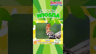 Co to za ptak 🟢 Zagadkowa wiosna 🟢 [upl. by Herzig]