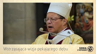 Wstrząsająca wizja pękającego dębu  kard Grzegorz Ryś [upl. by Wilkins]