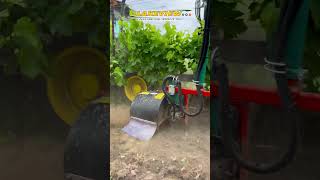 Clemens MULTIClean  Removing grapevine suckers  unwanted growth and shoots mechanically [upl. by Gerlac]