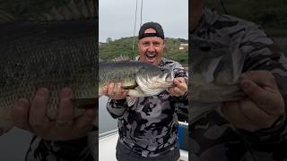 Fish of a lifetime Monster Bass at Inanda Bass fishing bassfishing basschallenge trophybass [upl. by Cowles892]