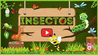 Insectos  Videos Educativos Para Niños [upl. by Hnahc206]