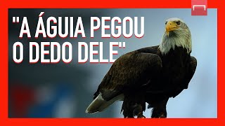 Por que o Benfica tem águias voando no estádio antes das partidas [upl. by Lasko]