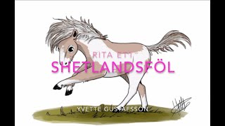 Rita ett shetlandsföl [upl. by Madeleine49]