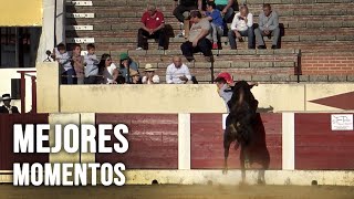 Toros Bravos Solo Mejores Momentos 1 [upl. by Carew]