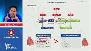 INSUFICIENCIA CARDÍACA CONGESTIVA Repaso ICC [upl. by Nevai695]