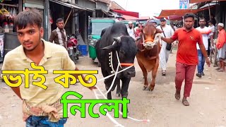 Bhai Koto Nilo Paragram Hozrotpur Gorur Hat 2024 Part 1  Qurbani Cow Price in Bangladesh [upl. by Flann]