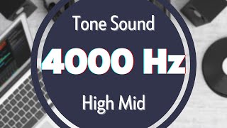 4000 Hz Frequency Sound Tone Audio Signal Sine Waveform High MID [upl. by Aierb439]