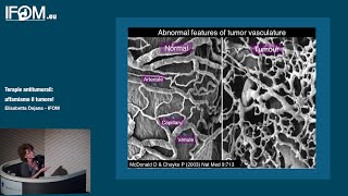 Terapie antitumorali affamiamo il tumore  Elisabetta Dejana IFOM [upl. by Assened]