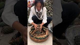 Pine nuts harvesting activities from farmers with rural life reels 2024 pine shorts satisfying [upl. by Compton559]