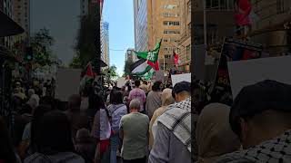 Sydney supporting GAZA [upl. by Macdermot431]