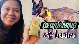 HOW TO USE PYRANTEL EMBONATE NEMATOCIDE TO DEWORM A DOG AT HOME  EASY DIY DOG DEWORMING PURGA [upl. by Formica806]