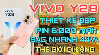 VIVO Y28  Mở hộp Vivo Y28 Pin Khủng 6000mAh Sạc Nhanh 44W Thiết Kế Đẹp tại Thế Giới Di Động [upl. by Ingmar]