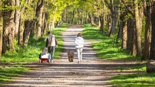 Wandertag Naturpark SchwalmNette [upl. by Aneerol443]