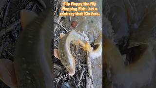 Flip floppy the flipflopping Fish [upl. by Akemrej]