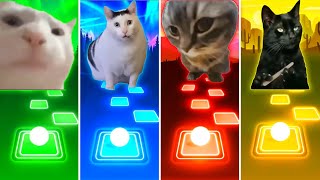 Vibing Cat vs Huh Cat vs Chipi Chipi Chapa Chapa Cat vs Black Cat  Tiles Hop EDM Rush [upl. by Steffen846]