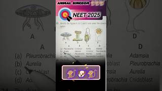 🎯NEET2025  BIOLOGY 💯 QUESTION neet neet2025 neetexam [upl. by Kenyon]