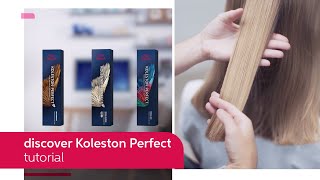 Everything You Need to Know About Koleston Perfect  Wella Professionals [upl. by Arde]