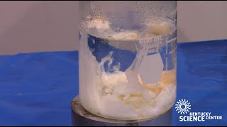 Eggs 2 The Denatured Proteins with Kentucky Science Center [upl. by Atal586]