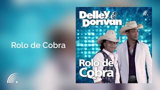 Rolo de Cobra Delley e Dorivan Composição Delley Violeiro 2019 [upl. by Ng209]