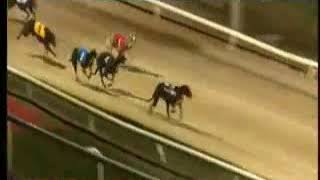 IGB  Christmas Party Nights at Dundalk Stadium A1 24112018 Race 10  Dundalk [upl. by Hepsoj]