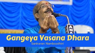 Gangeya Vasana Dhara by Vid Sankaran Namboothiri [upl. by Ainalem381]