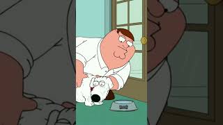 Family Guy Old Brian comedy familyguy petergriffin briangriffin funny [upl. by Lynnette]