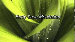 MBSR Body Scan Meditation 2014 version [upl. by Assiar]