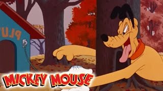 Micky Maus Kicherkracher  Kurzfilm Kampf um jede Nuss  Disney Channel [upl. by Orman229]